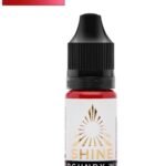 SHINE BURGUNDY WİNE